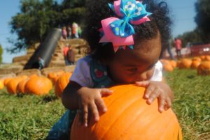 girl on pumpkin patch
